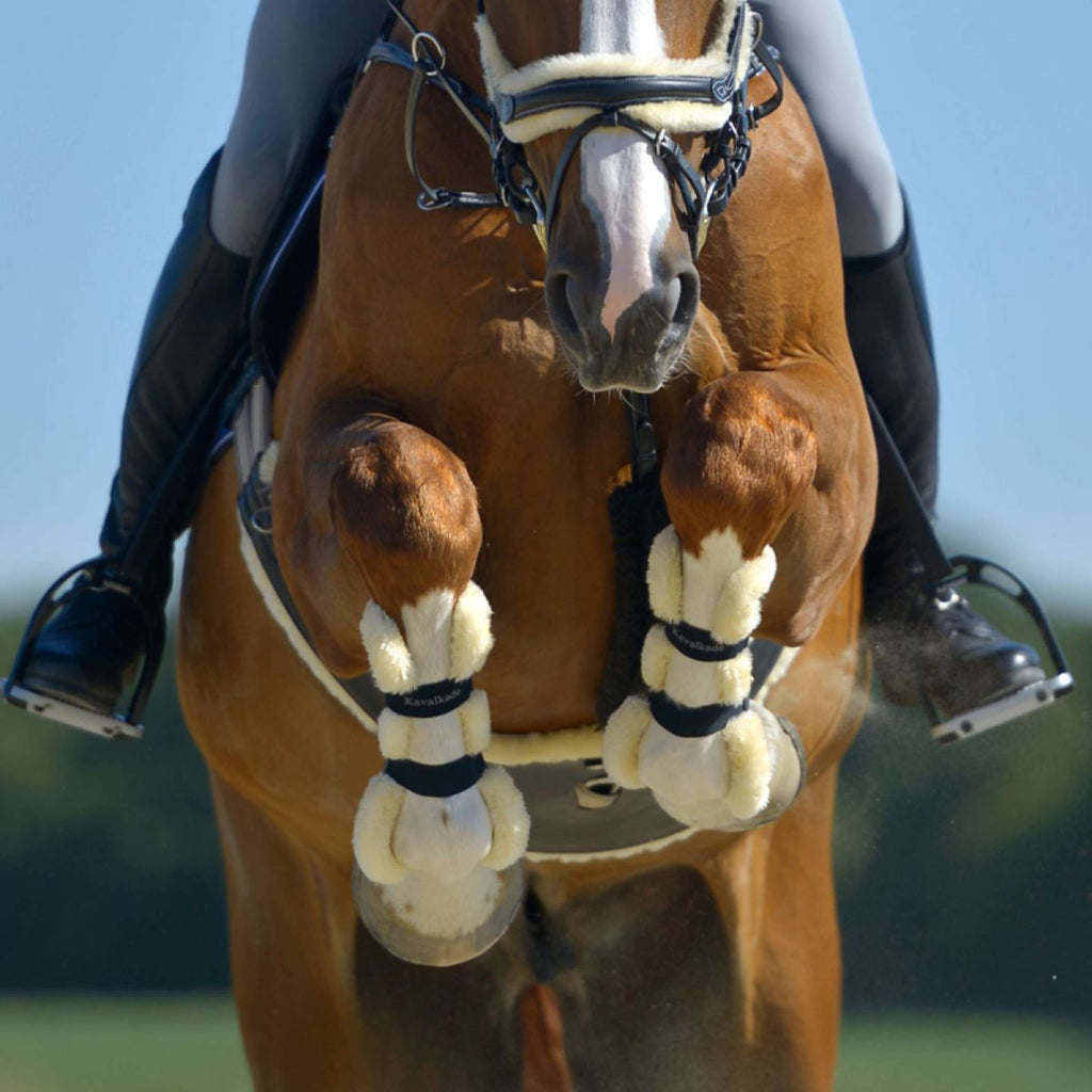 Kavalkade Stinchiere per tendini Compete Nero