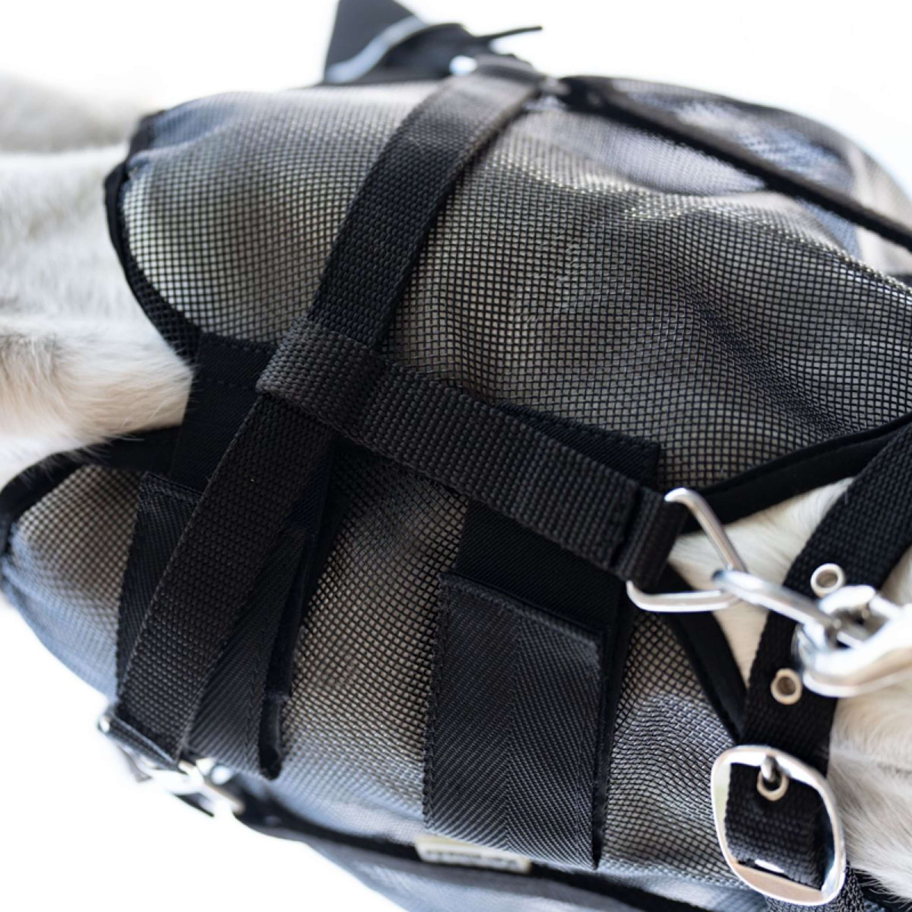 Kavalkade Maschera per Mosche Beugel Nero