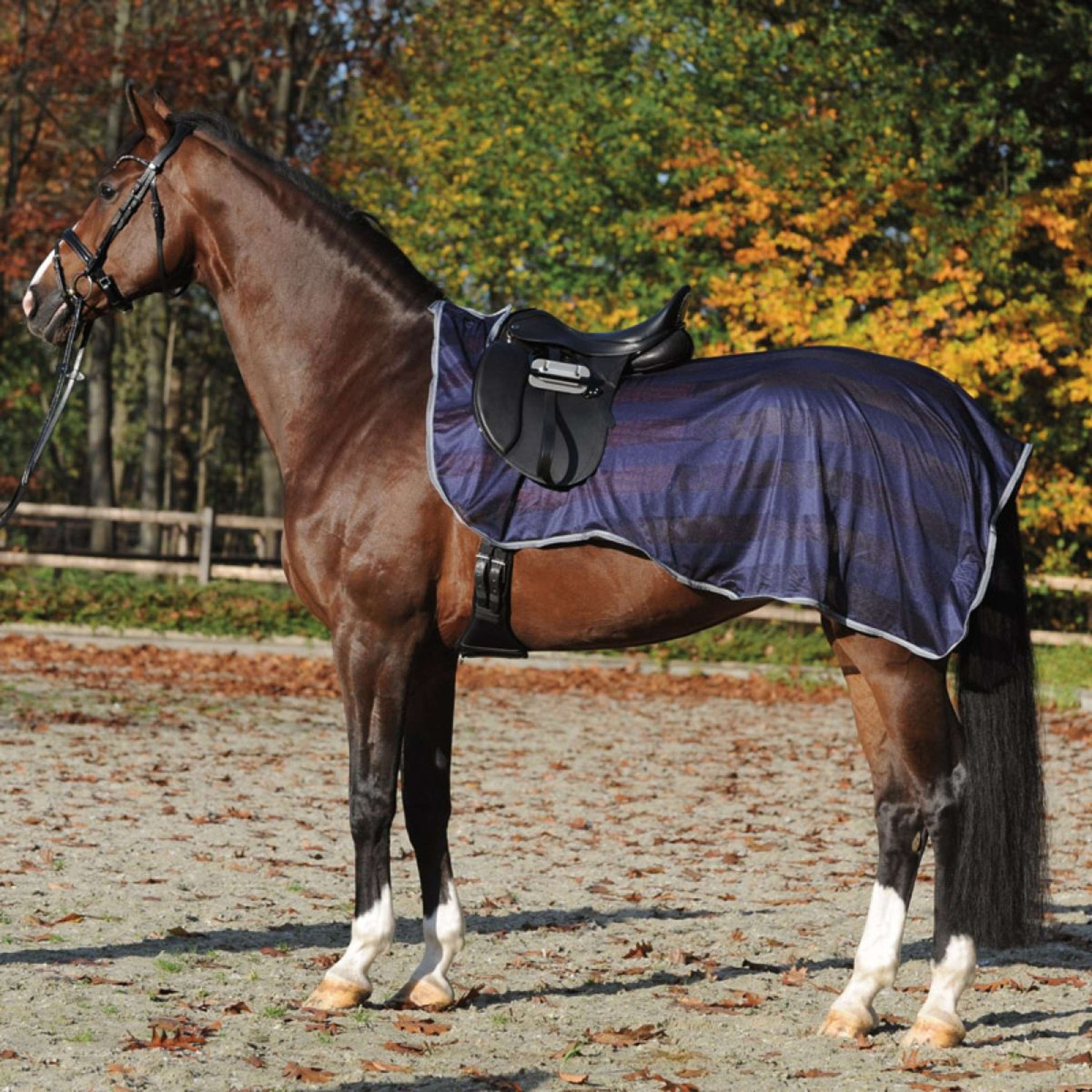 Kavalkade Coperta da esercizio Fly Blu marino/Grigio