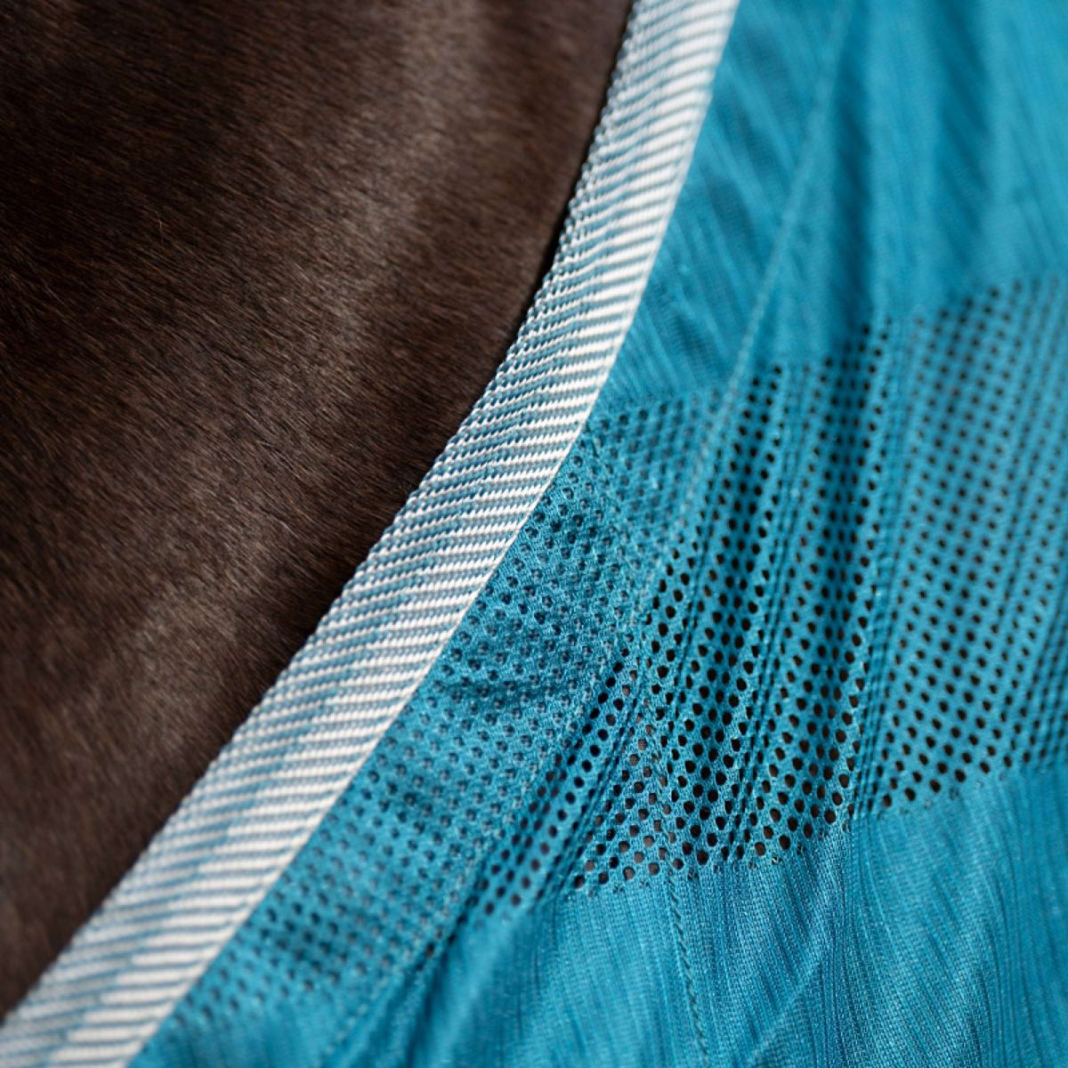 Kavalkade Coperta Antimosche Stripe Petrol