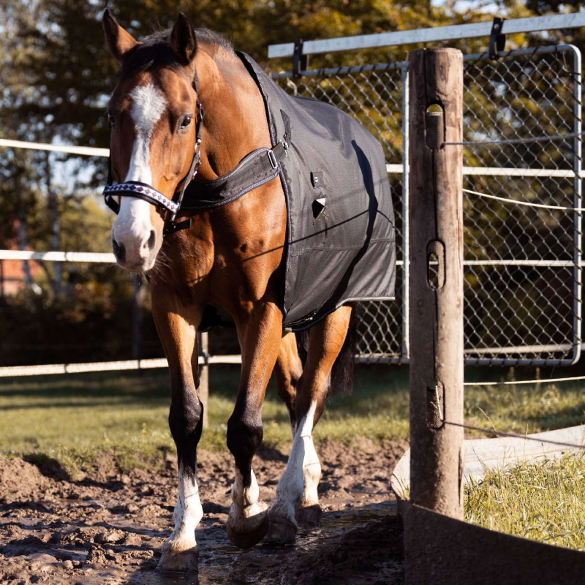Kavalkade Coperta da paddock / giostra Halifax 2in1 200g Nero
