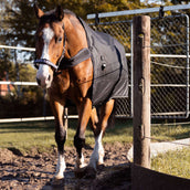 Kavalkade Coperta da paddock / giostra Halifax 2in1 200g Nero