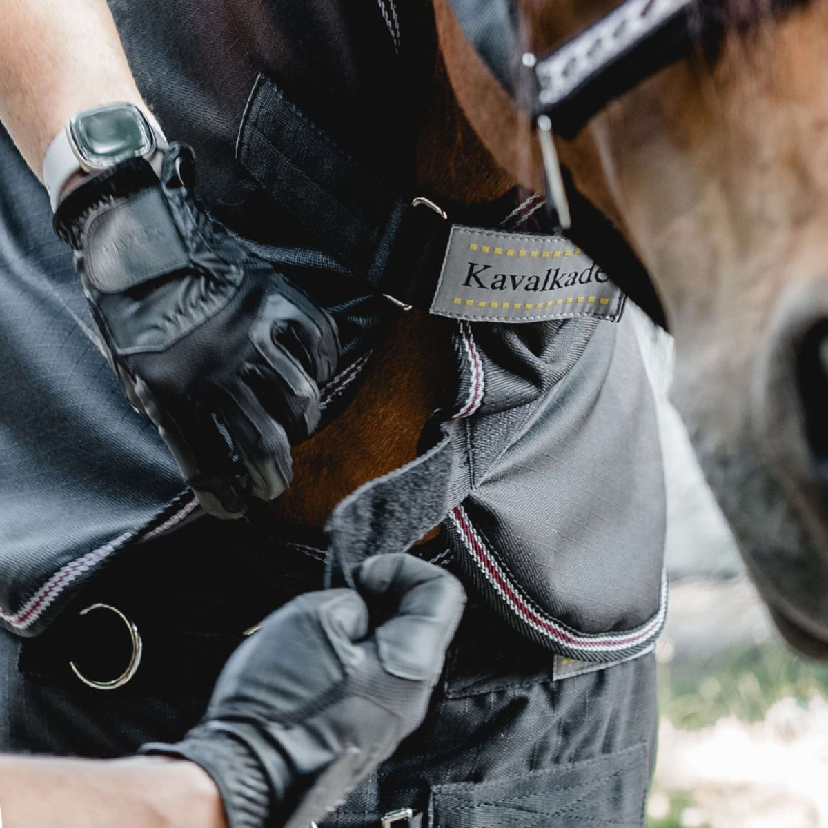 Kavalkade Copricollo Iceland 50 g Nero/Nero/Bordeaux/Grigio