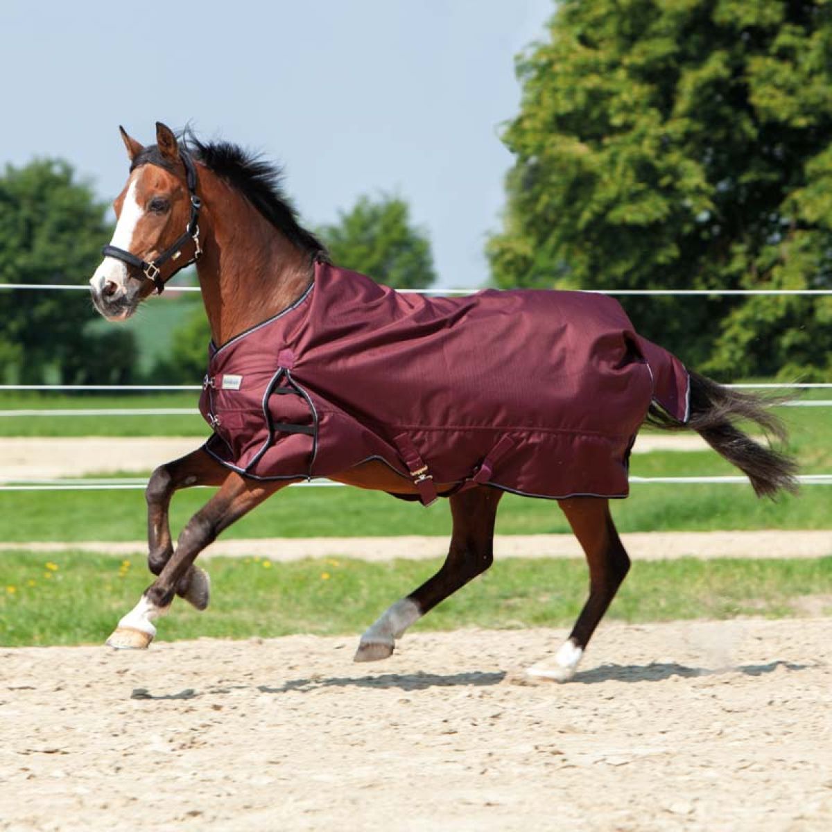 Kavalkade Tappeto da Esterno Alaska IV Fleece Bordeaux