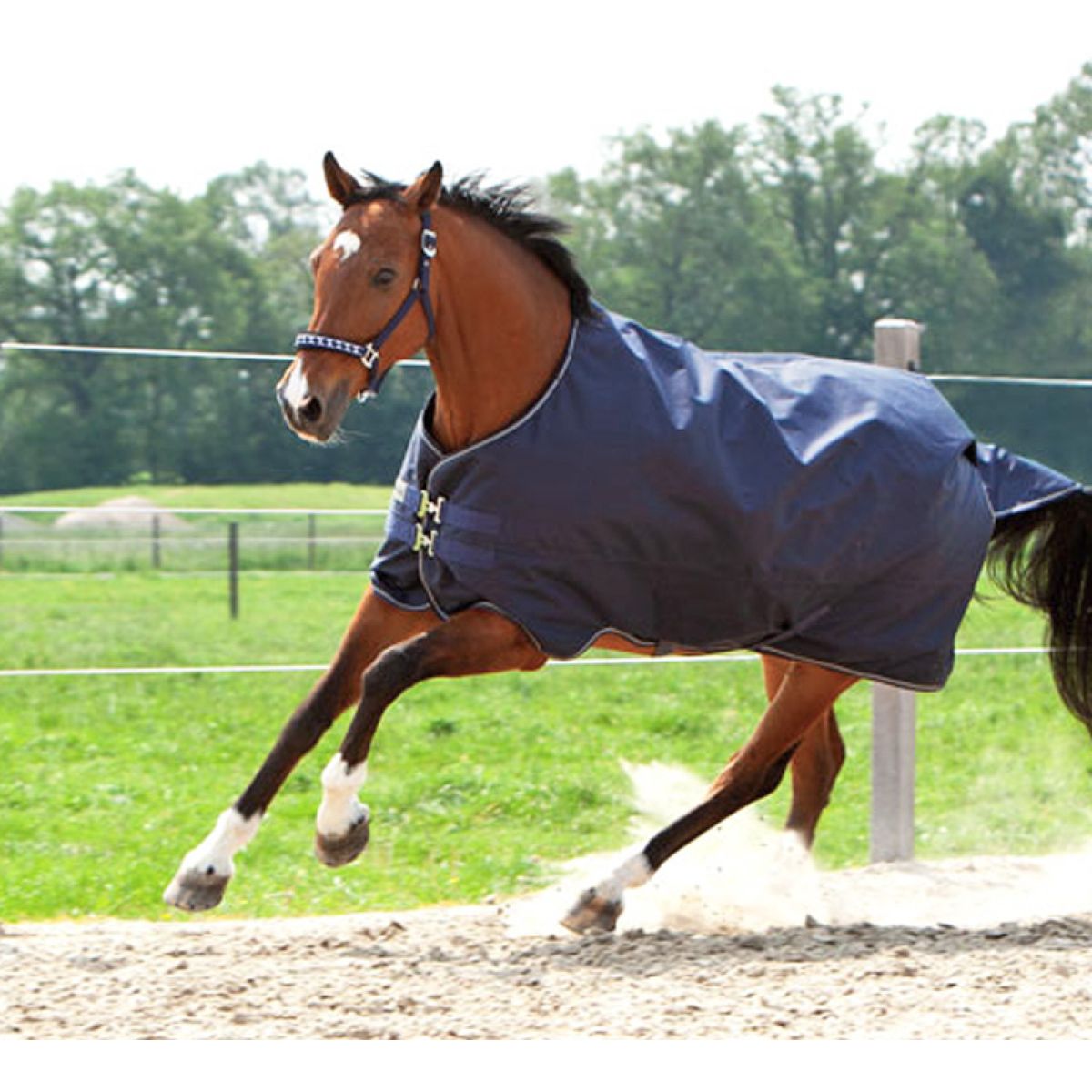 Kavalkade Tappeto da Esterno Montreal 200g 200 g Navy