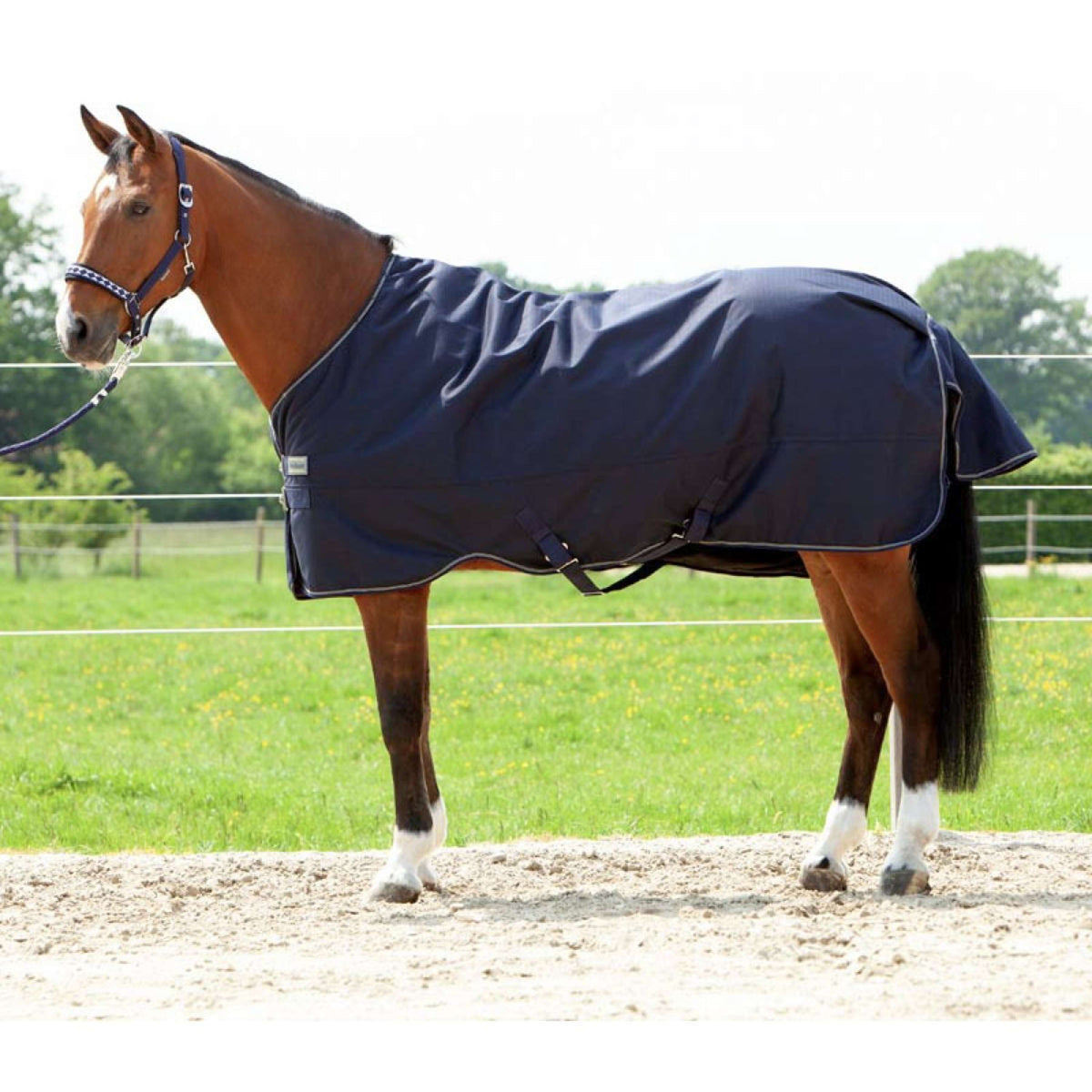 Kavalkade Tappeto da Esterno Montreal 200g 200 g Navy