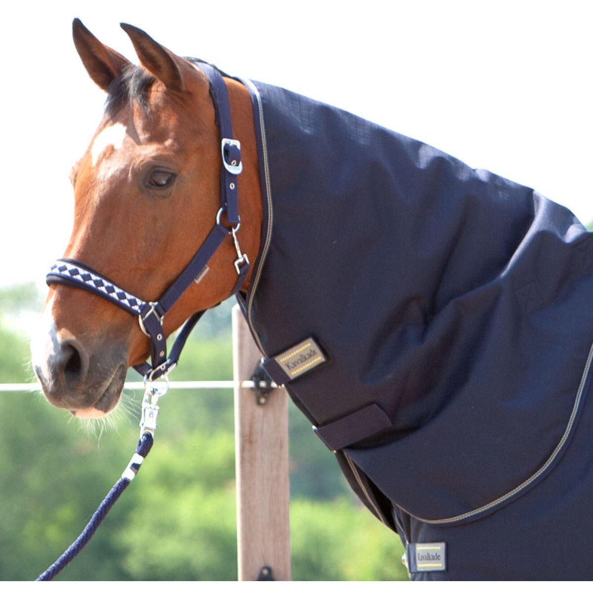 Kavalkade Copricollo Montreal 100g Navy