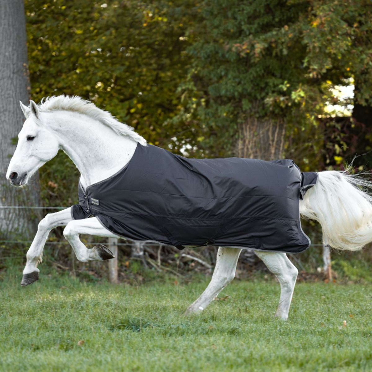 Kavalkade Tappeto da Esterno Winnipeg 50g Nero