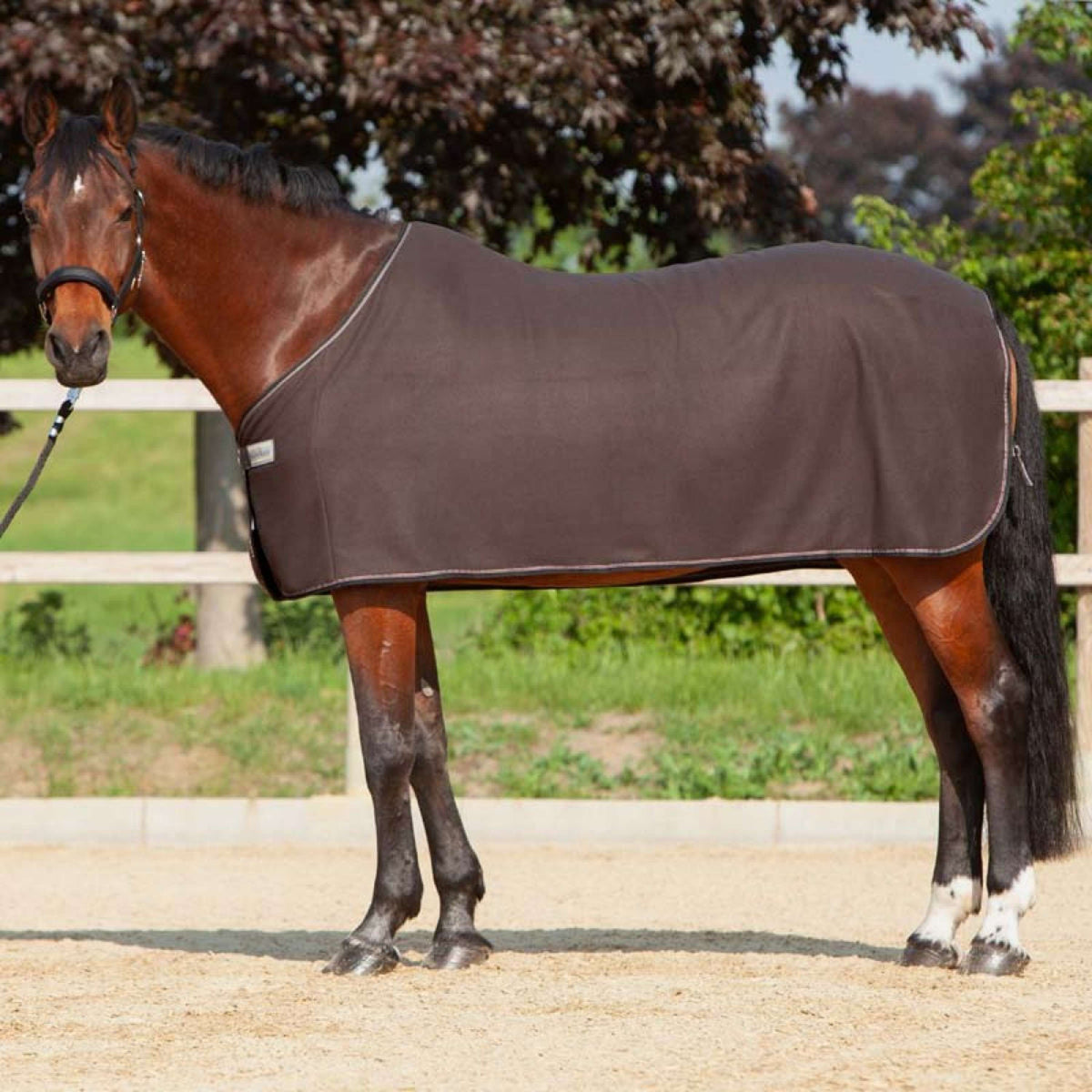 Kavalkade Coperta antisudore Ecoline Fleece Marrone scuro