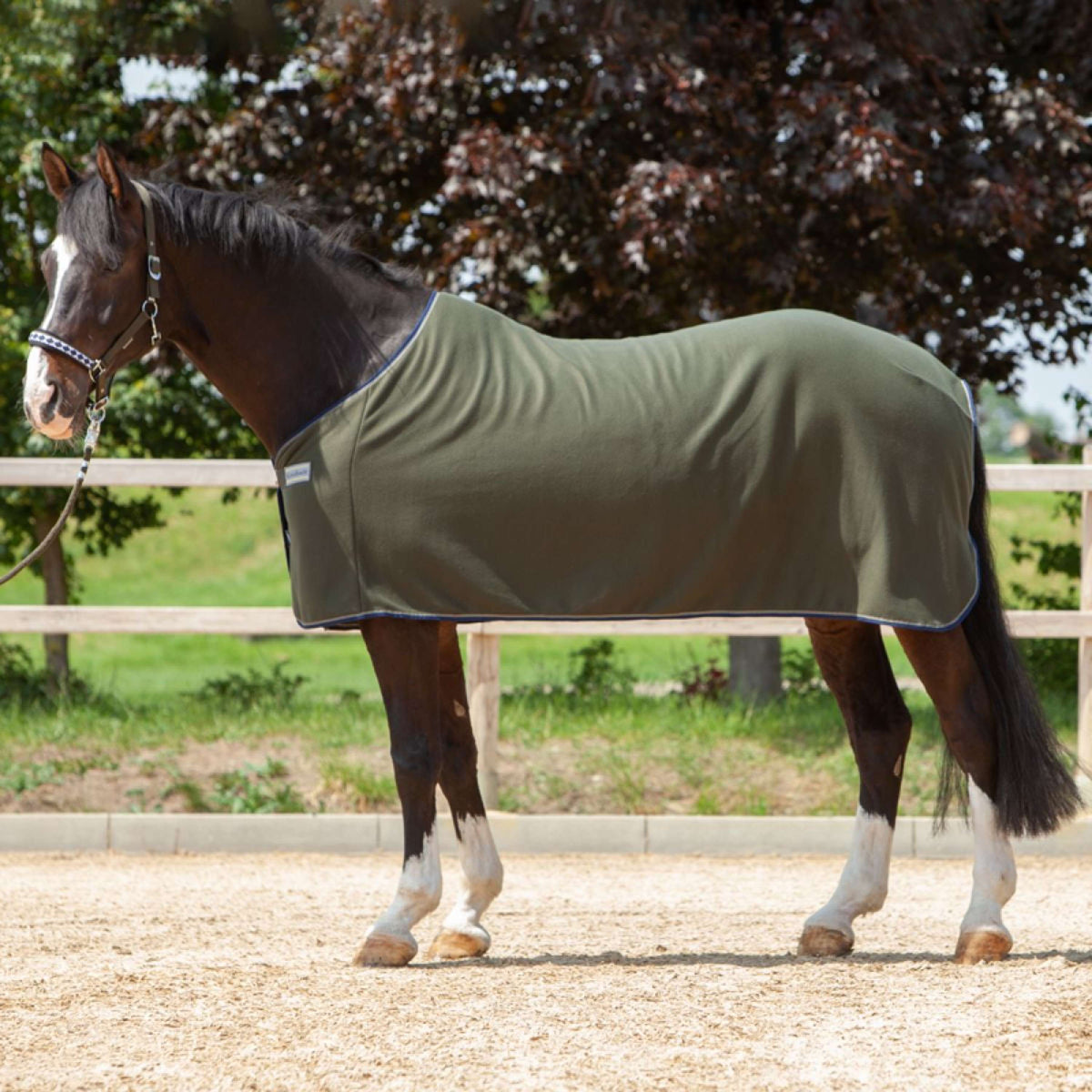 Kavalkade Coperta antisudore Ecoline Fleece Verde pino