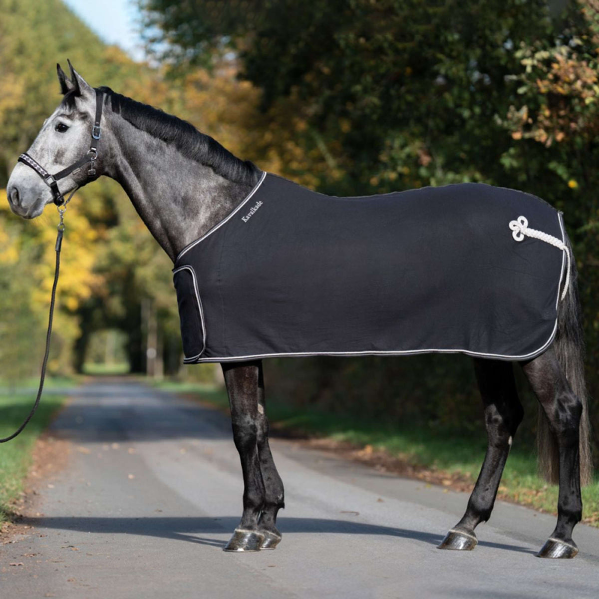 Kavalkade Cooler Removable Chest Flap Nero/Bianco