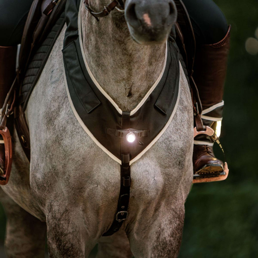 Kavalkade Pettorina Horselight Nero/Grigio