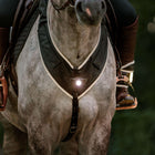 Kavalkade Pettorina Horselight Nero/Grigio