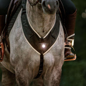 Kavalkade Pettorina Horselight Nero/Grigio