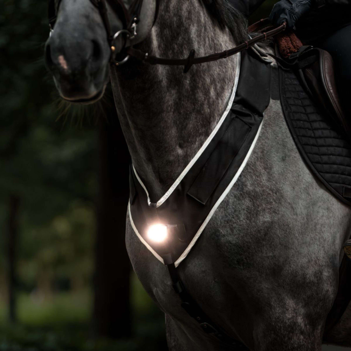 Kavalkade Pettorina Horselight Nero/Grigio