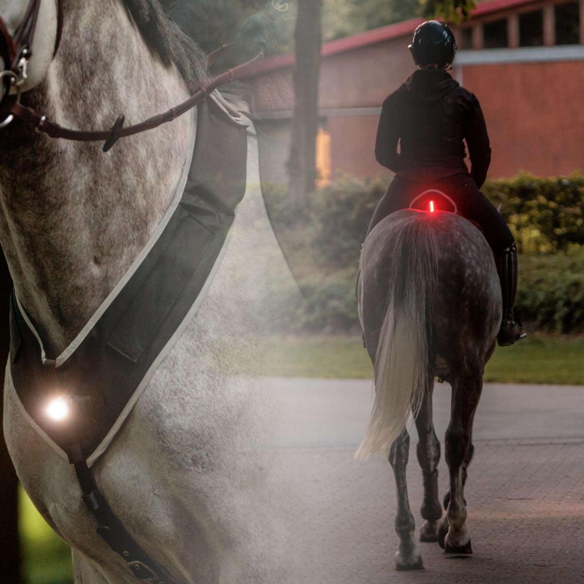Kavalkade Pettorale/Sella Horselight Nero/Grigio