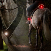 Kavalkade Pettorale/Sella/Gamba Horselight Nero/Grigio