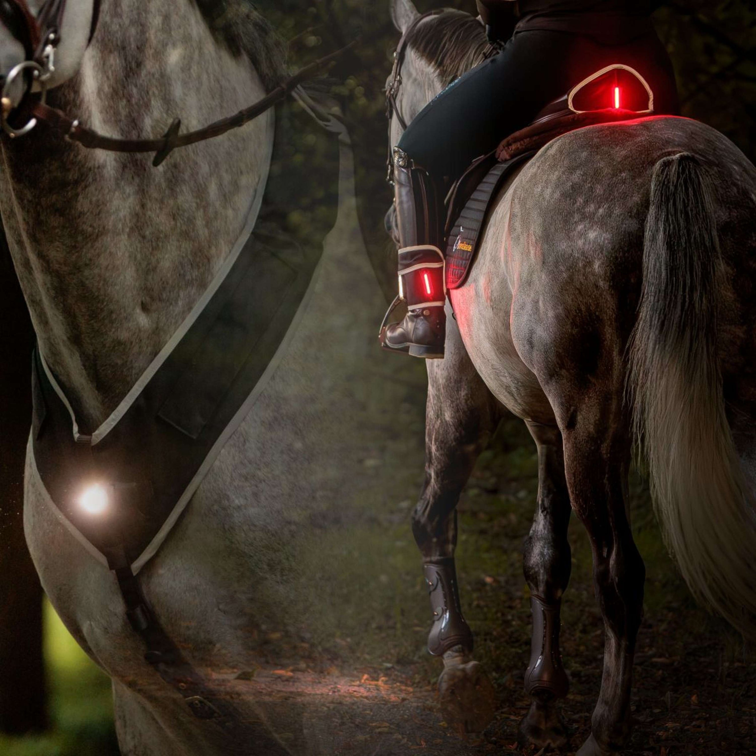 Kavalkade Pettorale/Sella/Gamba Horselight Nero/Grigio Kavalkade Pettorale/Sella/Gamba Horselight Nero/Grigio