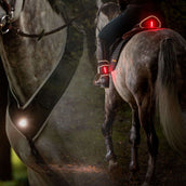 Kavalkade Pettorale/Sella/Gamba Horselight Nero/Grigio