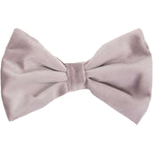Kentucky Dogwear Collare per Cane Bow Tie Velvet Soft Rose