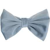 Kentucky Dogwear Collare per Cane Bow Tie Velvet Azzurro