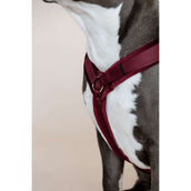 Kentucky Dogwear Imbracatura Active Velvet Bordeaux