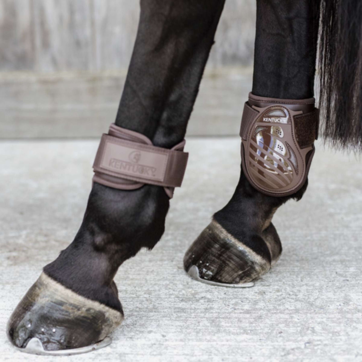 Kentucky Horsewear Stinchiere Young Horse Marrone