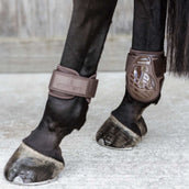 Kentucky Horsewear Stinchiere Young Horse Marrone