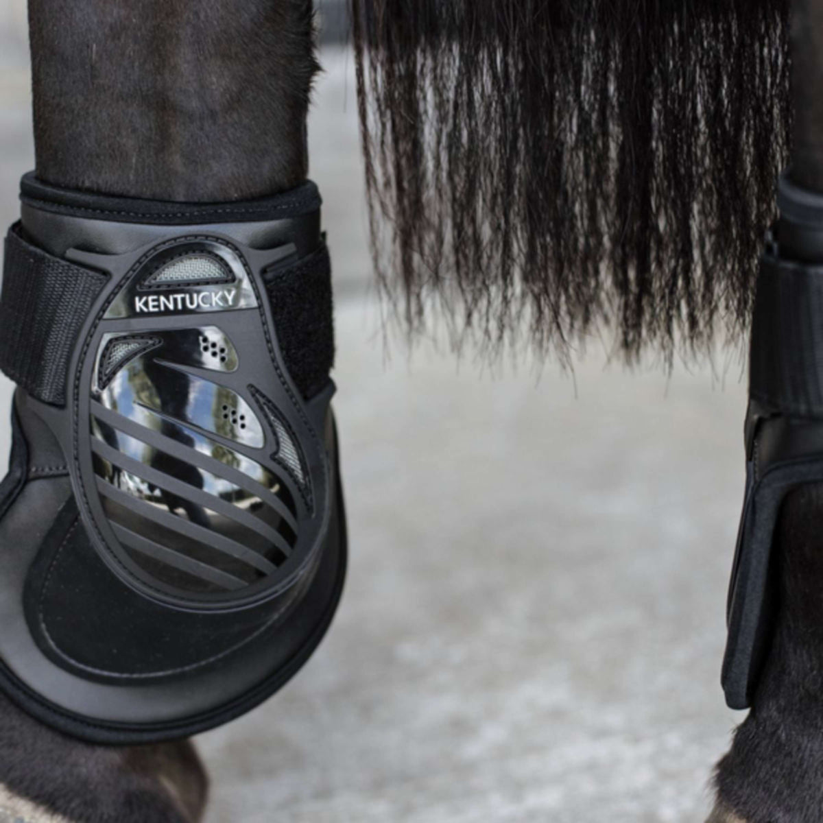 Kentucky Horsewear Stinchiere Deep Nero