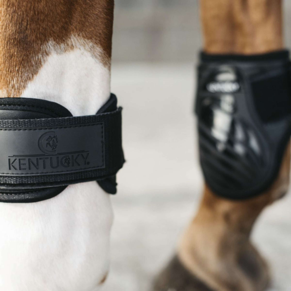 Kentucky Horsewear Stinchiere Young Horse Nero