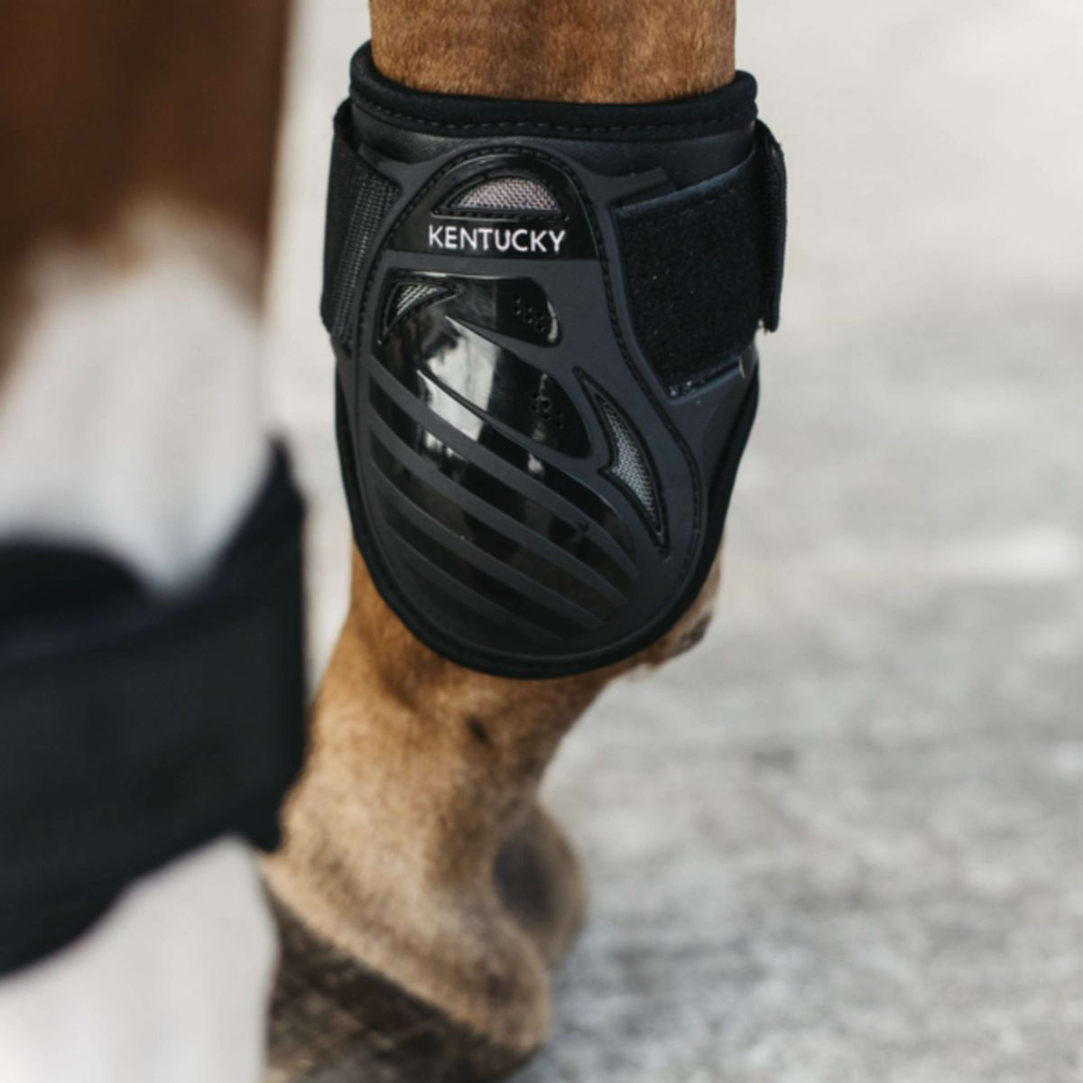 Kentucky Horsewear Stinchiere Young Horse Nero