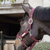 Kentucky Horsewear Capezzina Velvet Bordeaux