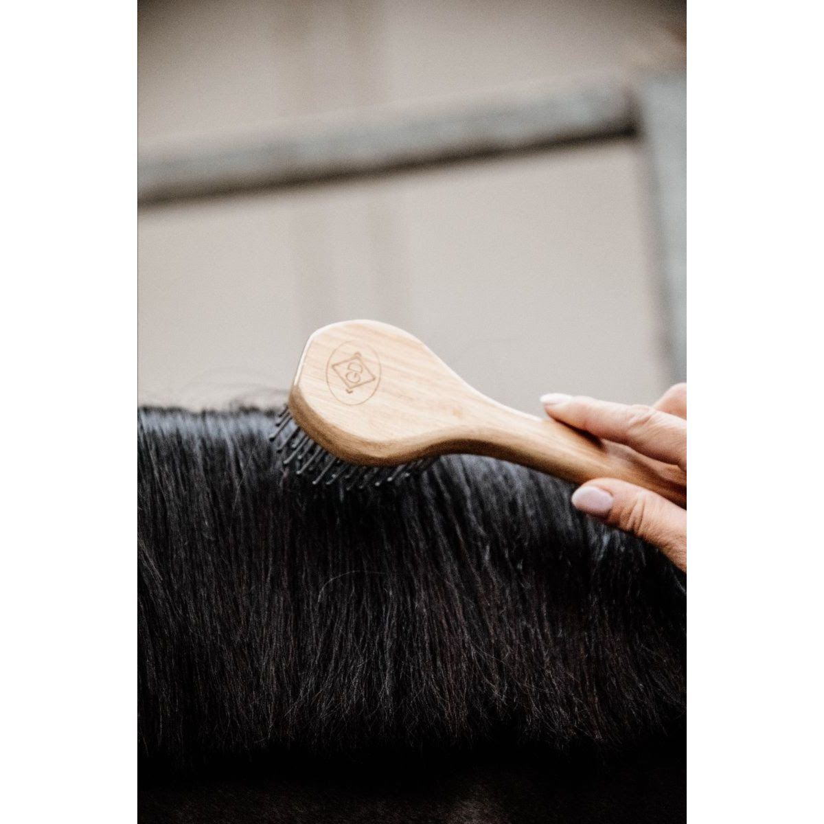 Kentucky Spazzola per criniera