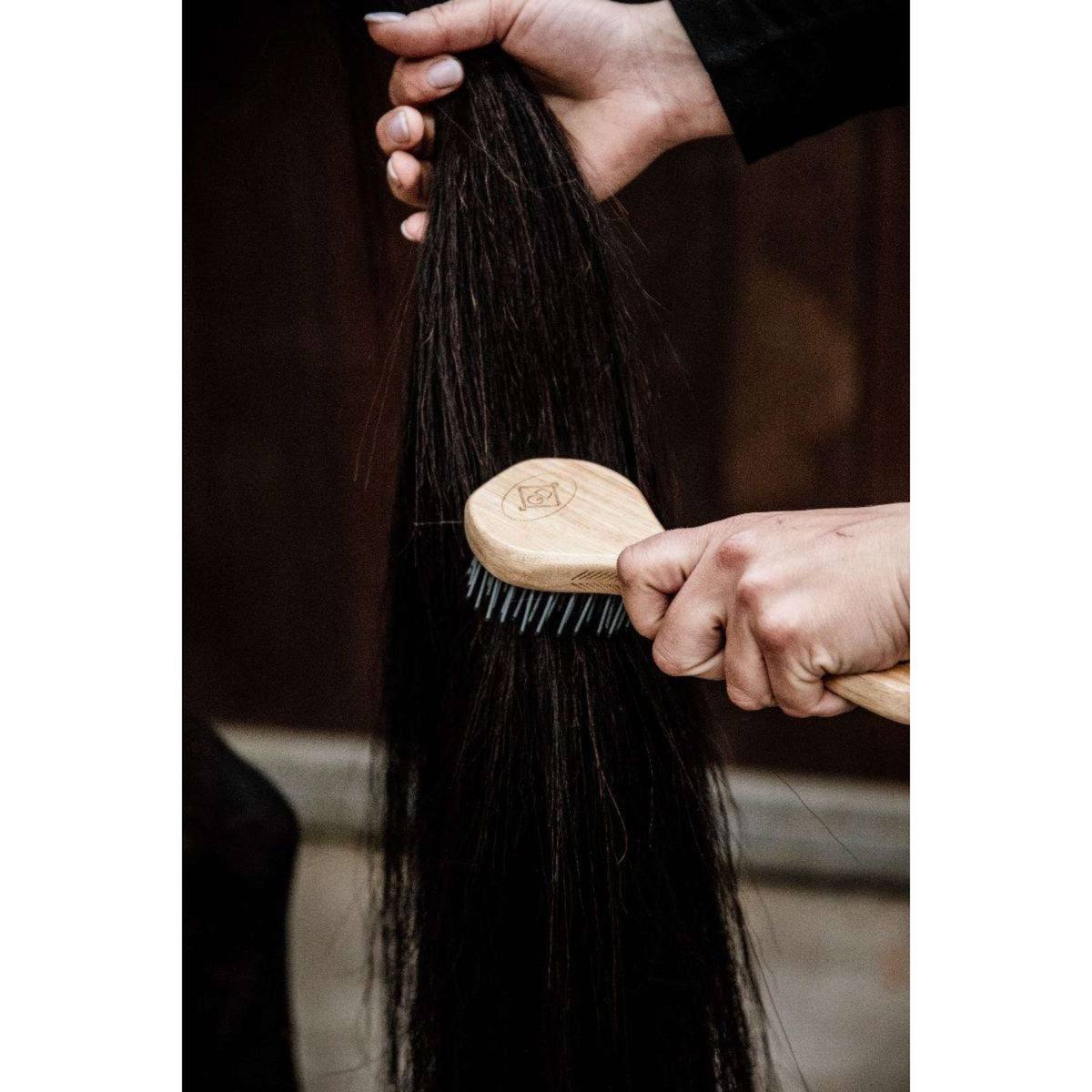 Kentucky Spazzola per criniera