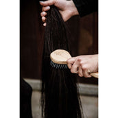 Kentucky Spazzola per criniera