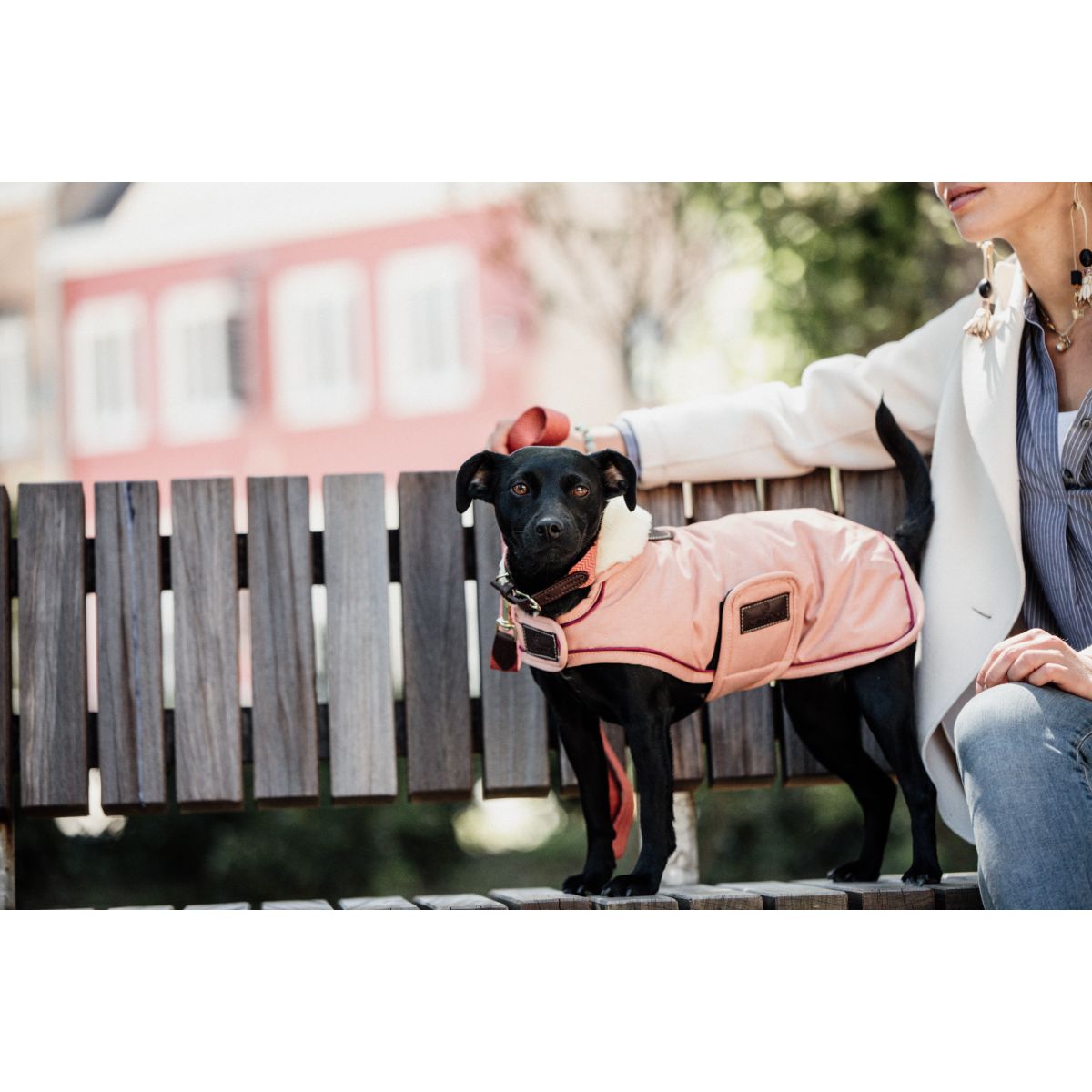 Kentucky Dogwear Cappotto per Cane Corallo