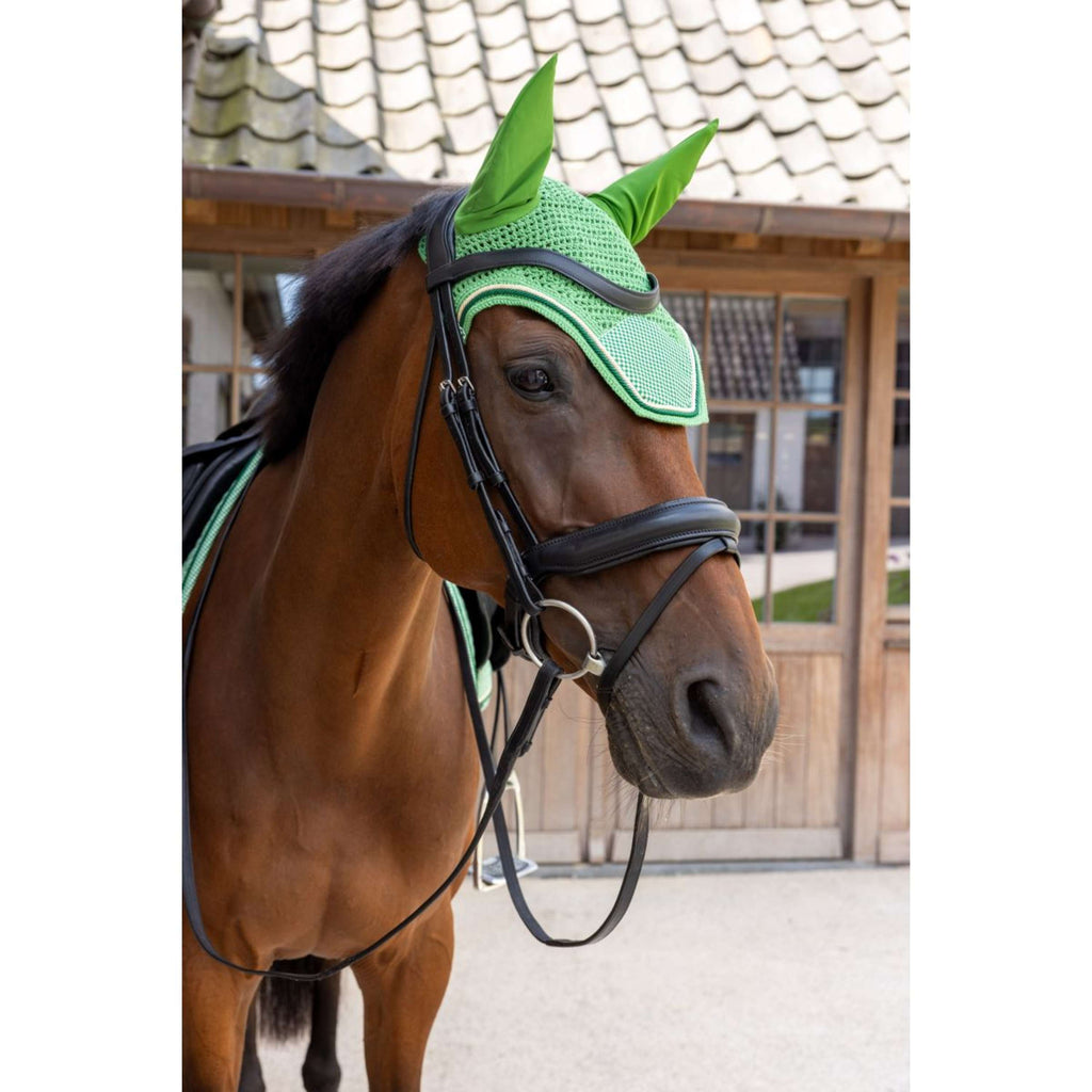 Kentucky Cuffietta Wellington Velvet Chess Verde