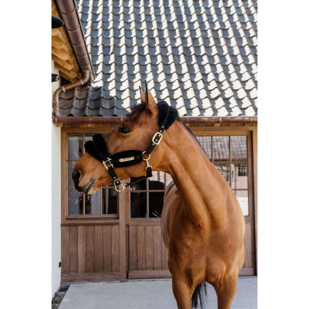 Kentucky Horsewear Cavezza Nylon Lana Morbida Nero