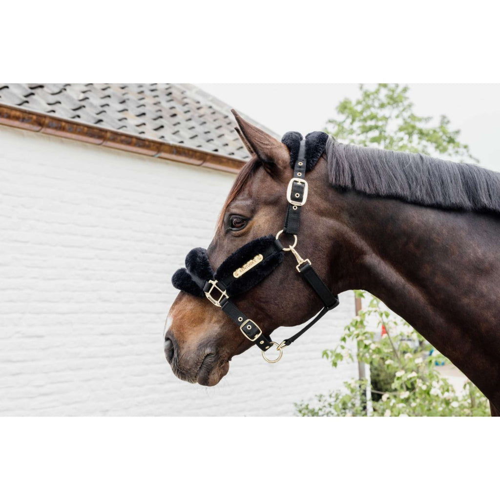 Kentucky Horsewear Cavezza Nylon Lana Morbida Nero
