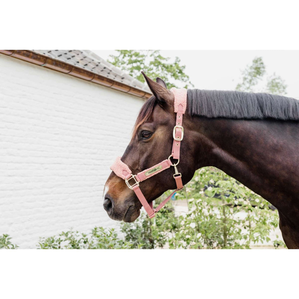 Kentucky Horsewear Cavezza Teddy Fleece Rosa antico