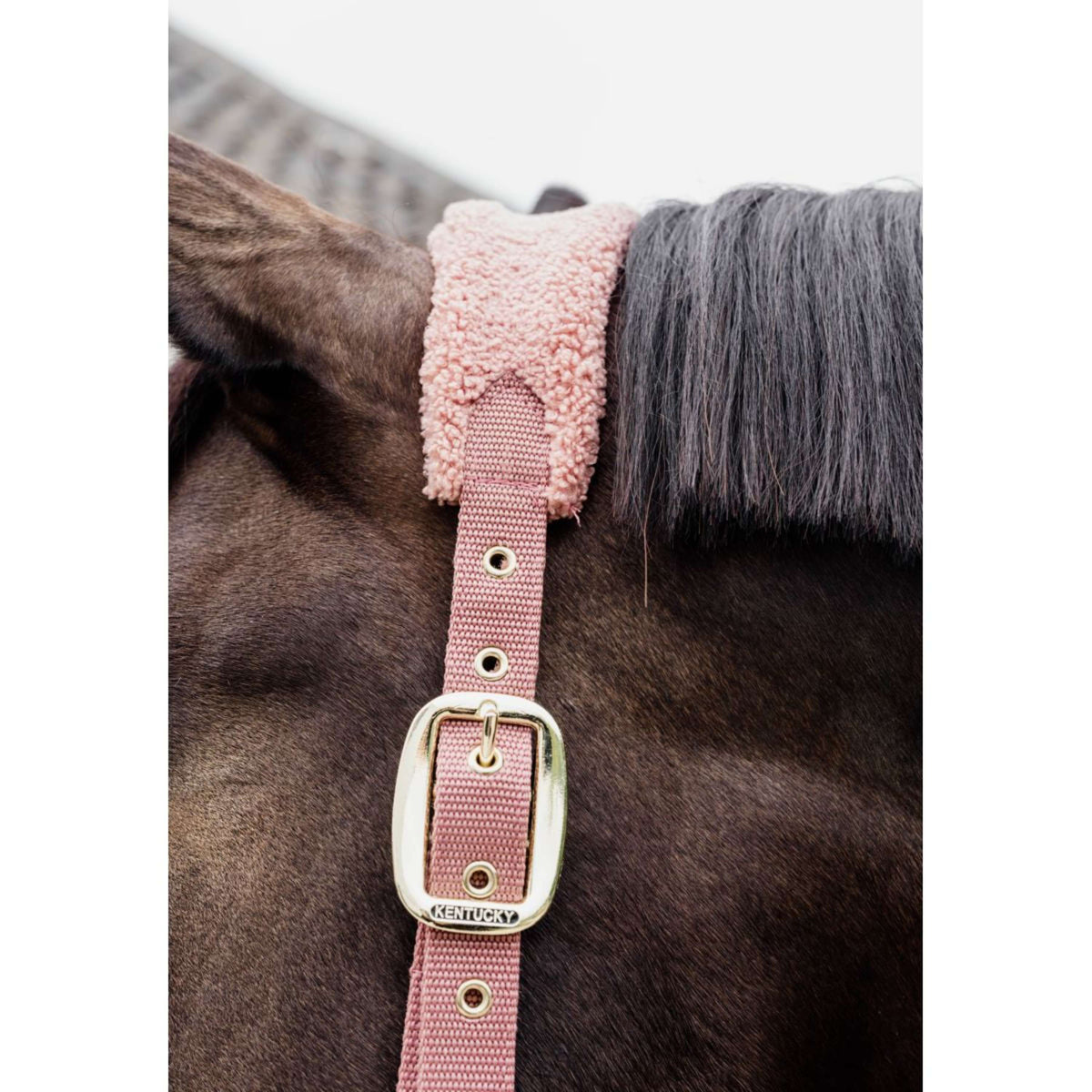 Kentucky Horsewear Capezzina Teddy Fleece Rosa antico