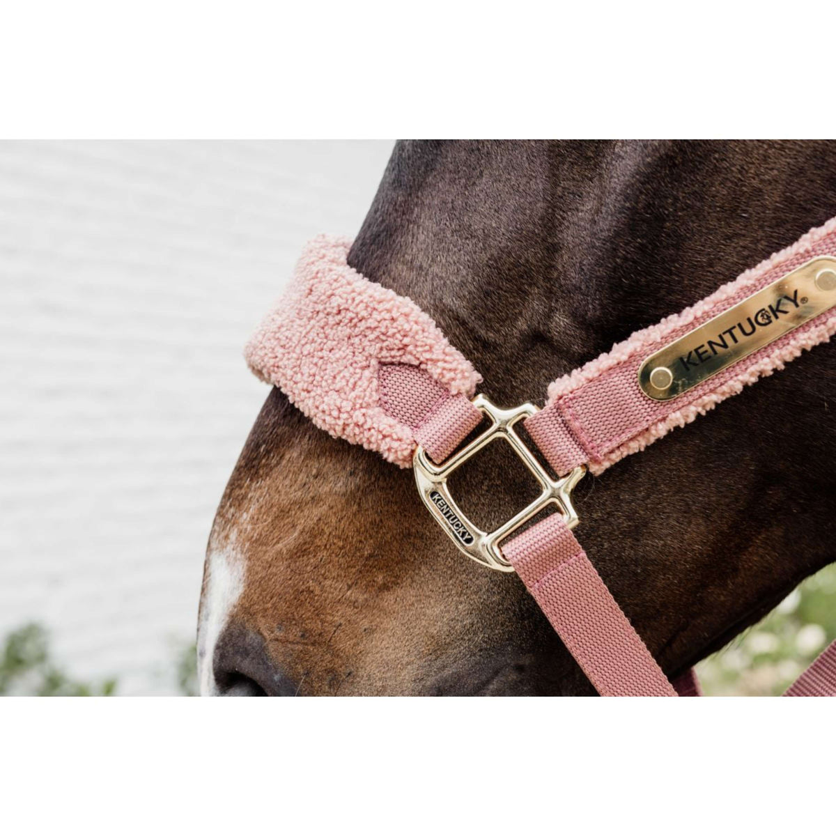 Kentucky Horsewear Capezzina Teddy Fleece Rosa antico