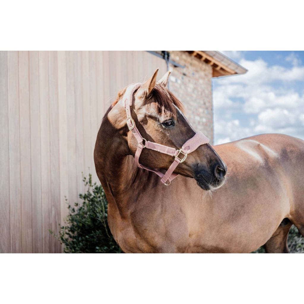 Kentucky Horsewear Cavezza Teddy Fleece Rosa antico