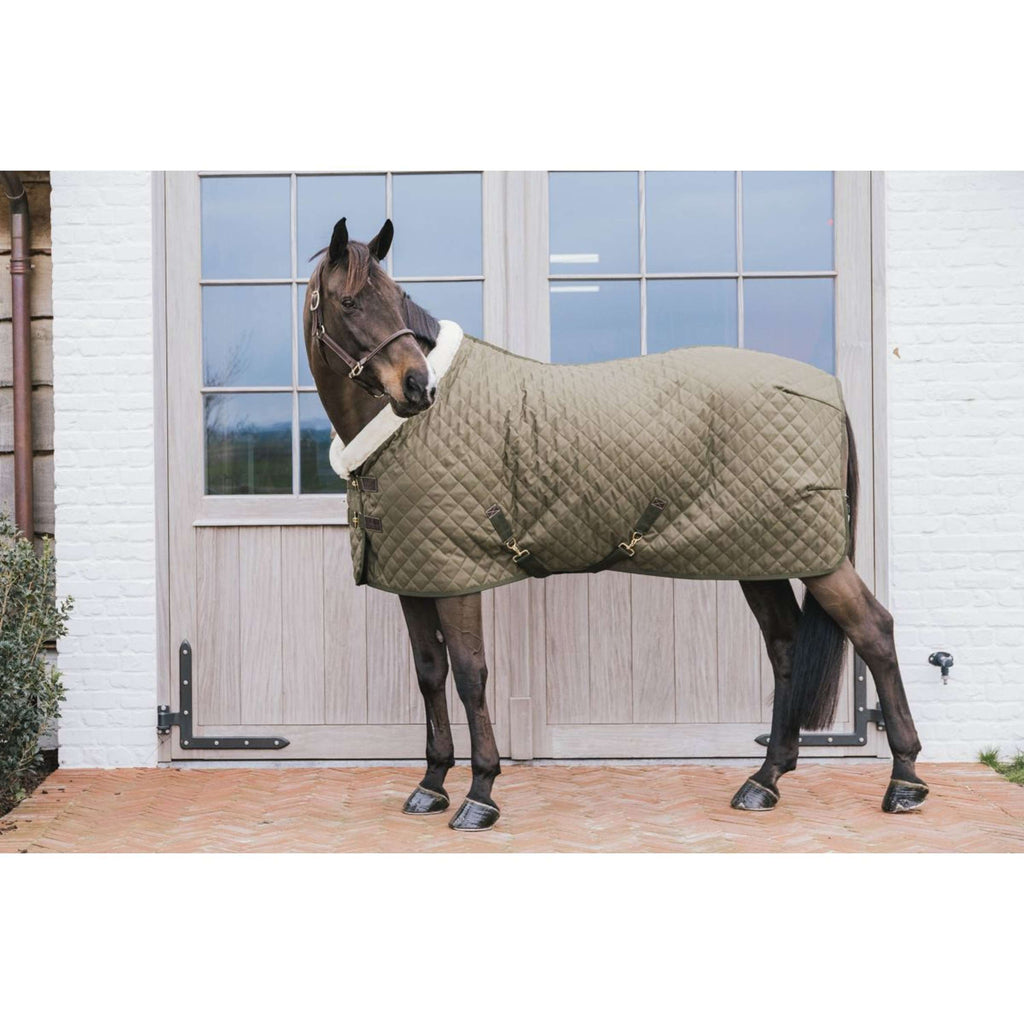 Kentucky Showdecke 160g Cachi