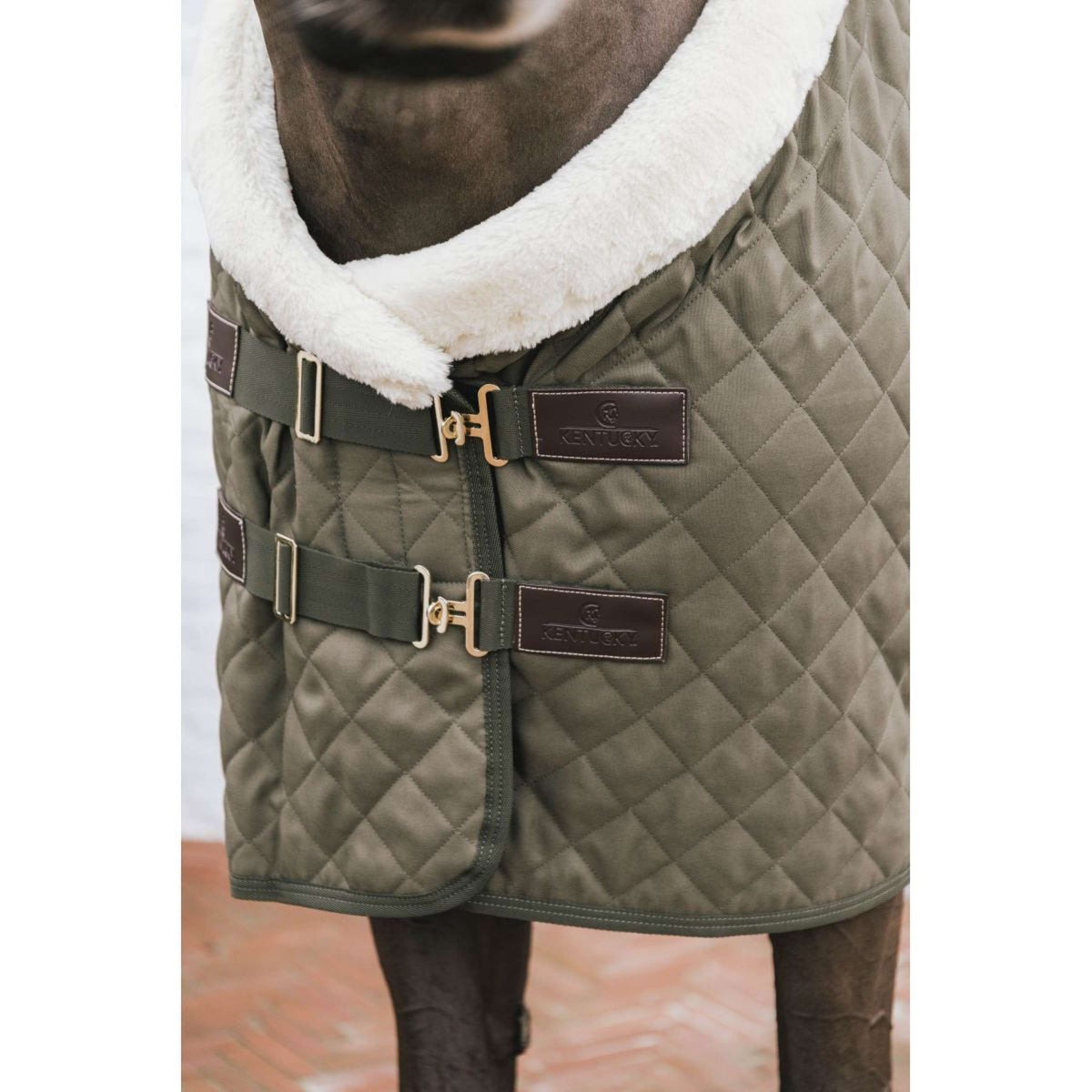 Kentucky Showdecke 160g Cachi