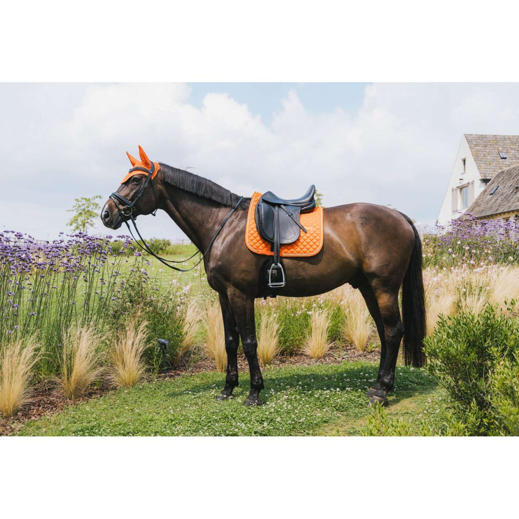 Kentucky Horsewear Sottosella Diamond Rope Arancia