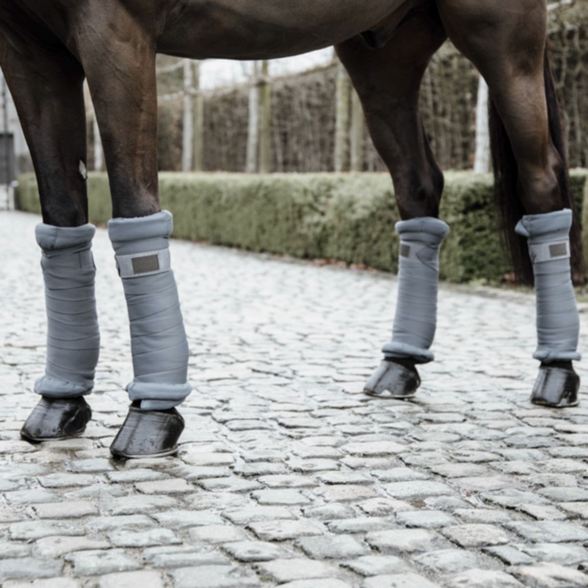 Kentucky Horsewear Bende da scuderia Grigio