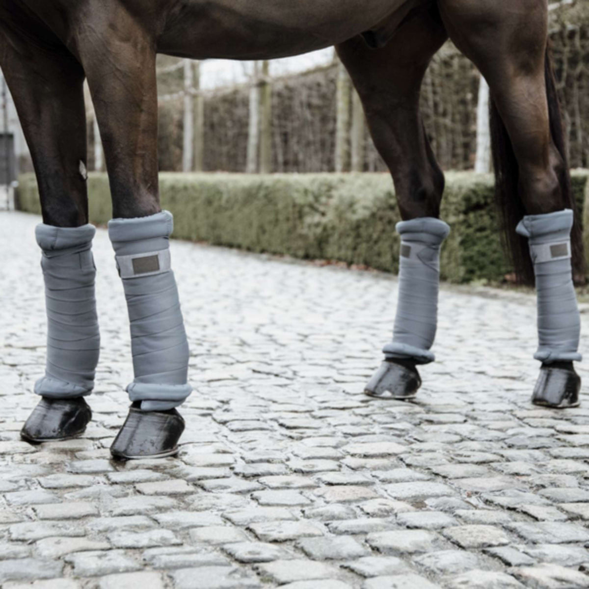 Kentucky Horsewear Bende da scuderia Grigio