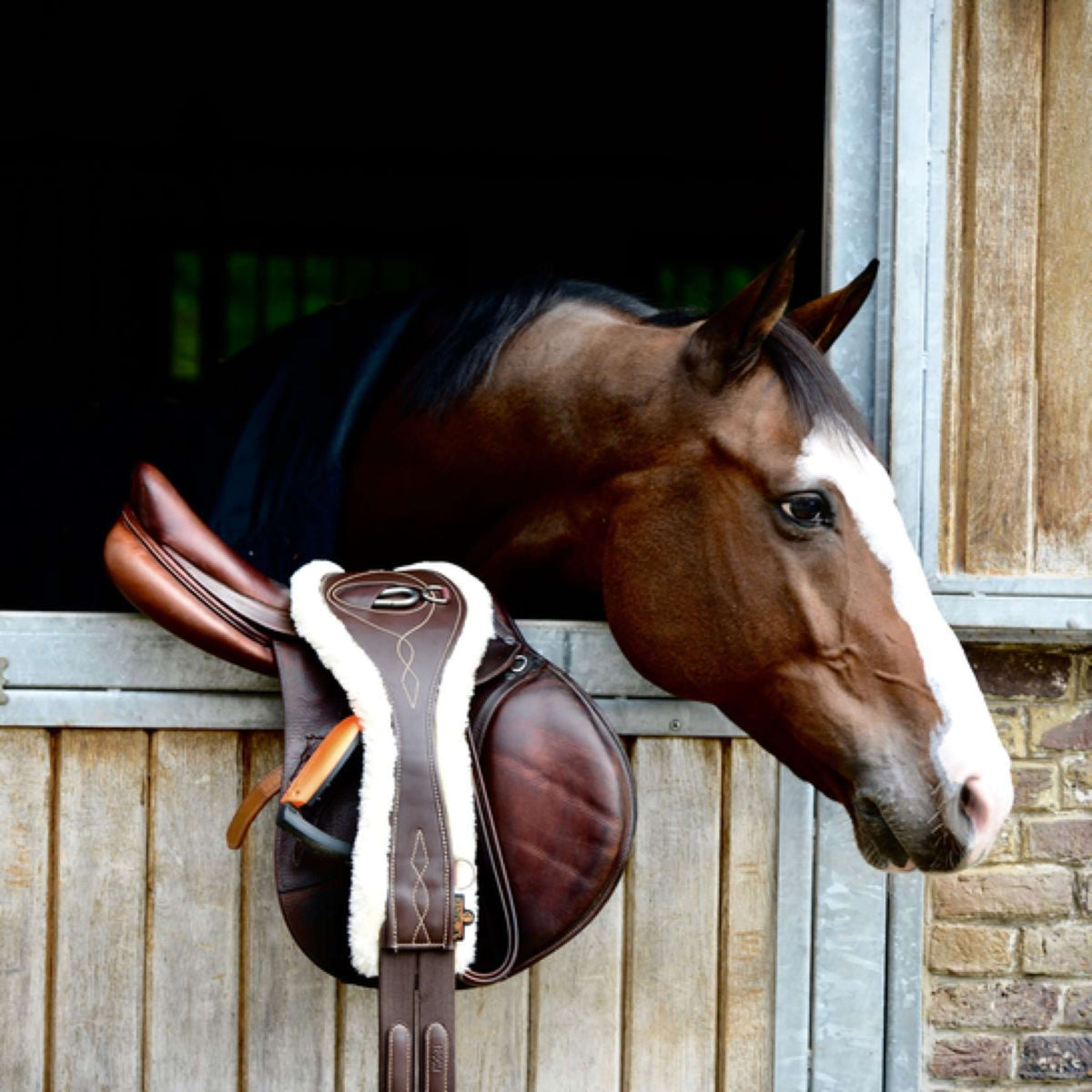 Kentucky Horsewear Sottopancia da salto Marrone