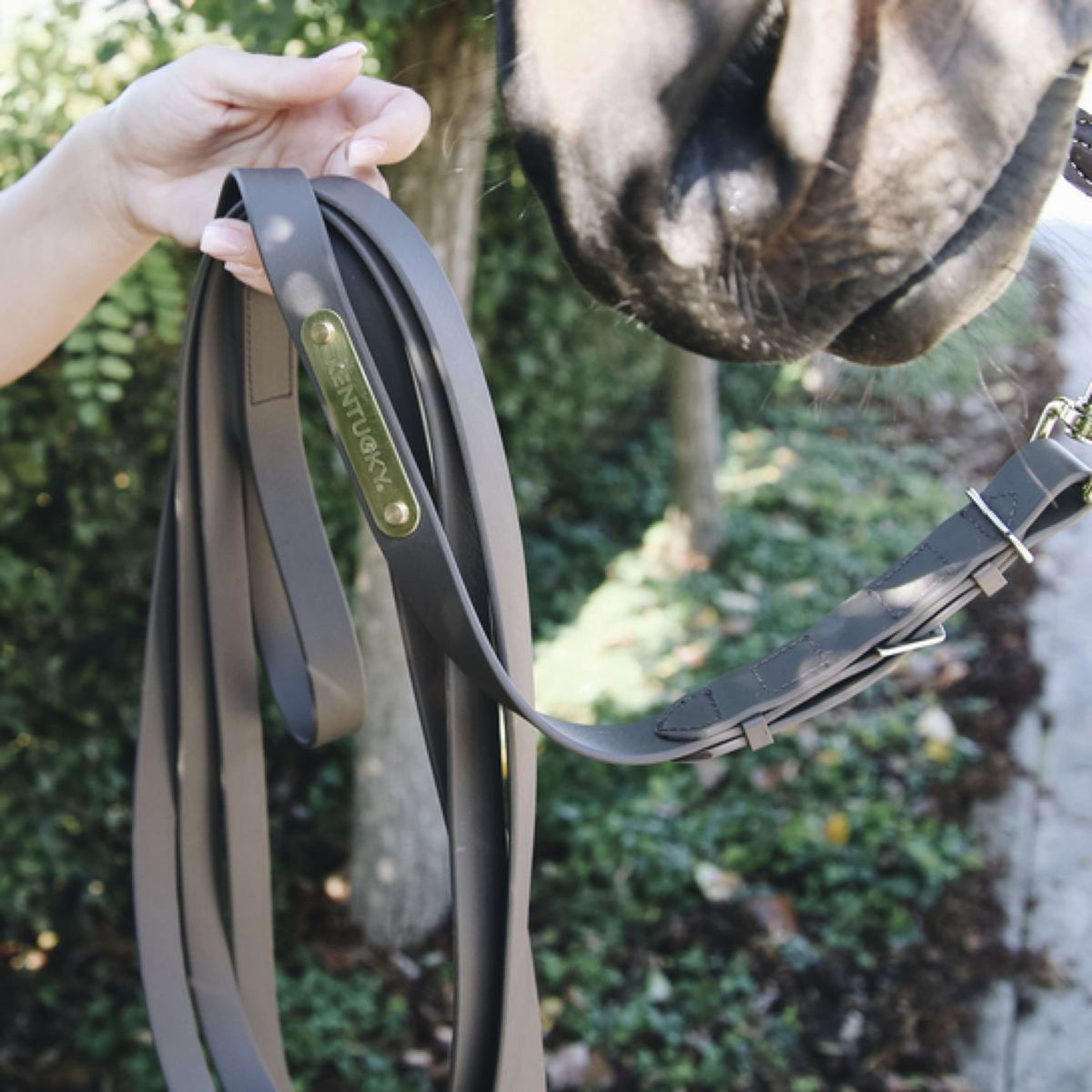Kentucky Horsewear Catena per Stalloni Marrone